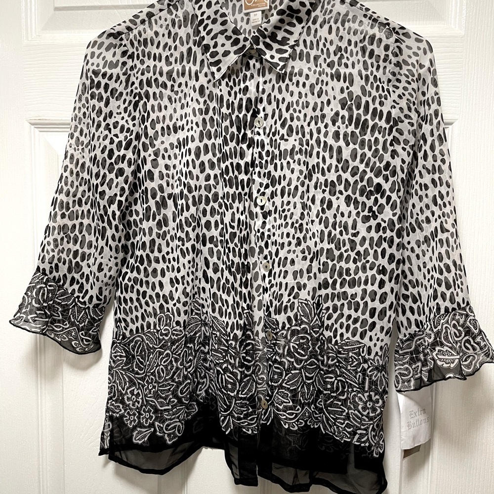 Sheer Blouse💕2for$40